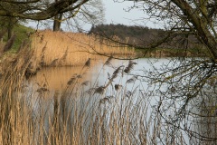 IMG_1898WEB