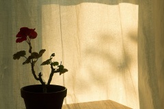 IMG_9505sqWEB
