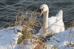 02-IMG_5071WEB