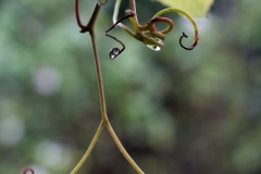 IMG_4319SQWEB