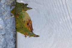 IMG_9669_DxO_webSQ